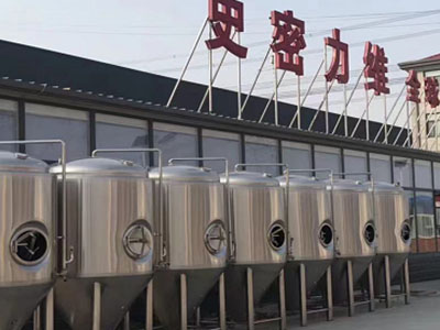 城厢精酿啤酒设备厂—如何判断精酿啤酒设备的密封件需要更换？